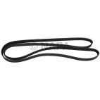 Serpentine Belt