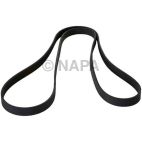 Serpentine Belt