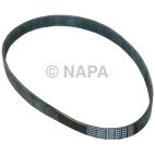 Serpentine Belt