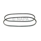 Accessory Drive Belt