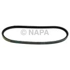 Accessory Drive Belt