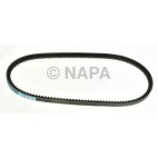 Accessory Drive Belt