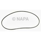 Serpentine Belt