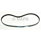 Accessory Drive Belt