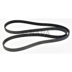 Accessory Drive Belt