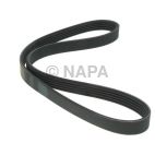 Accessory Drive Belt