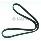 Serpentine Belt