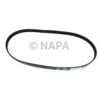 Accessory Drive Belt