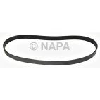 Serpentine Belt