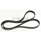 Serpentine Belt