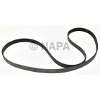 Serpentine Belt
