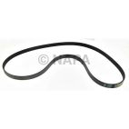 Serpentine Belt