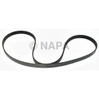 Serpentine Belt