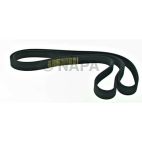 Serpentine Belt