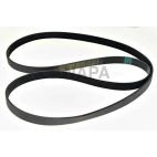 Serpentine Belt
