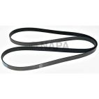 Serpentine Belt