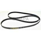 Serpentine Belt