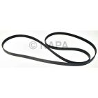 Serpentine Belt