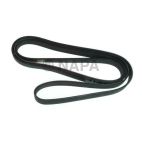 Serpentine Belt