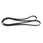 Serpentine Belt