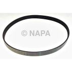 Accessory Drive Belt