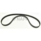 Serpentine Belt