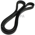 Serpentine Belt