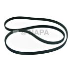 Serpentine Belt