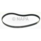 Serpentine Belt