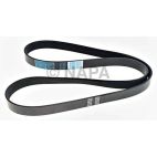 Serpentine Belt
