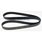 Accessory Drive Belt