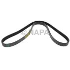 Serpentine Belt