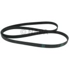 Serpentine Belt
