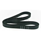 Serpentine Belt