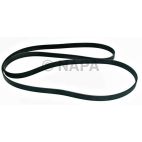 Serpentine Belt