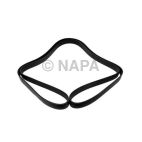 Serpentine Belt