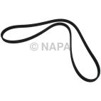 Serpentine Belt