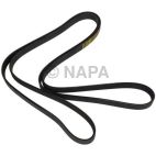 Serpentine Belt