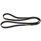 Serpentine Belt