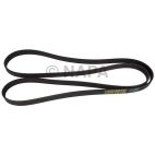 Serpentine Belt