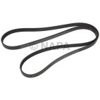 Serpentine Belt