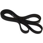 Serpentine Belt