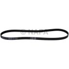 Serpentine Belt