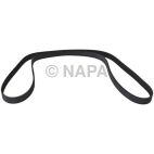 Serpentine Belt