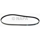 Serpentine Belt