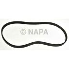 Serpentine Belt