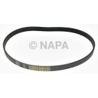 Serpentine Belt