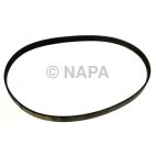 Serpentine Belt