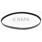 Serpentine Belt
