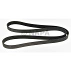 Serpentine Belt
